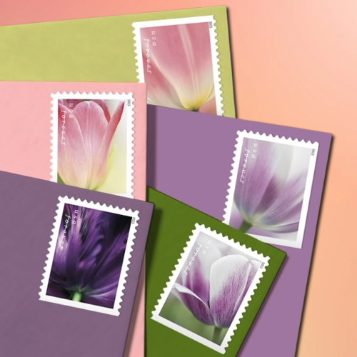 Tulip Blossoms Forever Stamps - Image 3