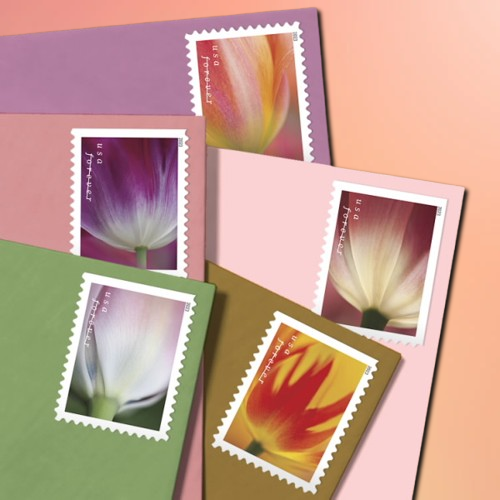 Tulip Blossoms Forever Stamps - Image 2