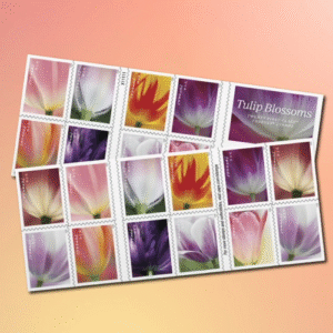 Tulip Blossoms Forever Stamps