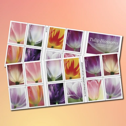 Tulip Blossoms Forever Stamps